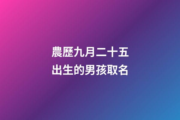 農歷九月二十五出生的男孩取名(農歷九月二十五出生的寶寶)-第1張-男孩起名-玄機派