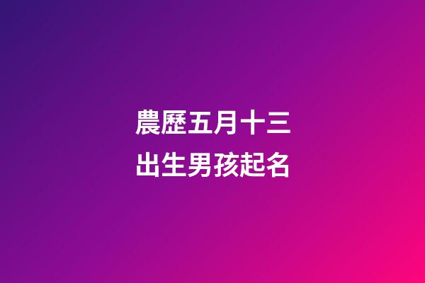農歷五月十三出生男孩起名(農歷2023年五月十三男孩名字)-第1張-男孩起名-玄機派