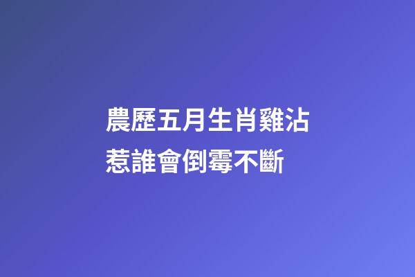 農歷五月生肖雞沾惹誰會倒霉不斷