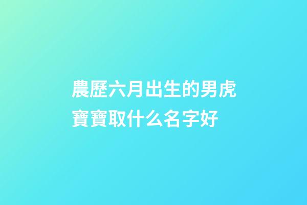 農歷六月出生的男虎寶寶取什么名字好(農歷6月虎男生人大富大貴)-第1張-男孩起名-玄機派