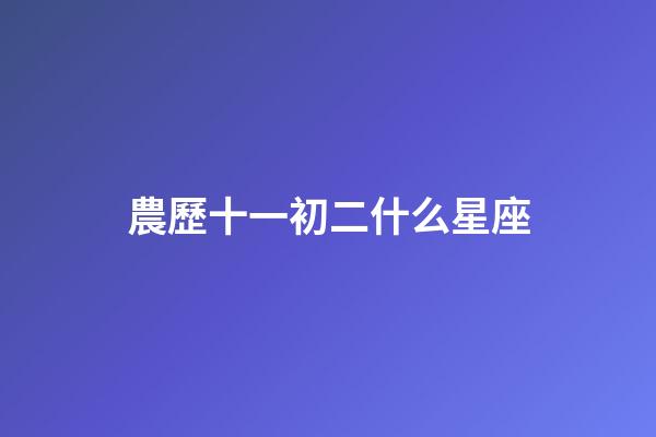 農歷十一初二什么星座-第1張-星座運勢-玄機派