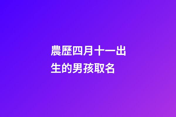 農歷四月十一出生的男孩取名(農歷四月十一出生的男孩好嗎)-第1張-男孩起名-玄機派