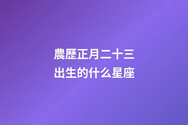 農歷正月二十三出生的什么星座-第1張-星座運勢-玄機派