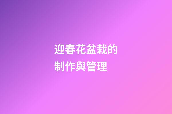 迎春花盆栽的制作與管理