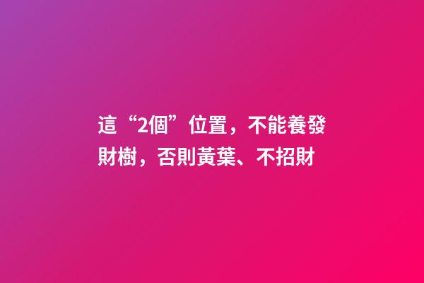 這“2個”位置，不能養發財樹，否則黃葉、不招財