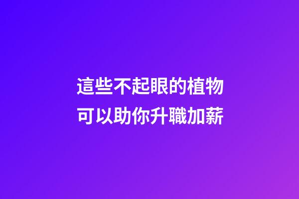 這些不起眼的植物可以助你升職加薪