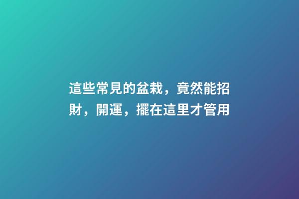 這些常見的盆栽，竟然能招財，開運，擺在這里才管用