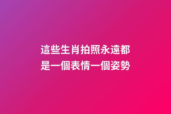 這些生肖拍照永遠都是一個表情一個姿勢