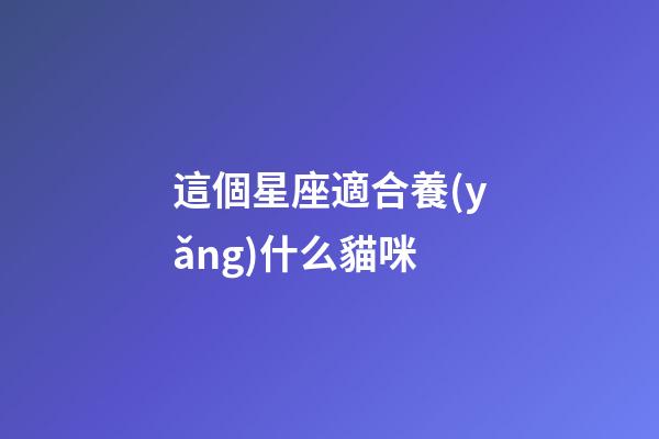 這個星座適合養(yǎng)什么貓咪-第1張-星座運勢-玄機派