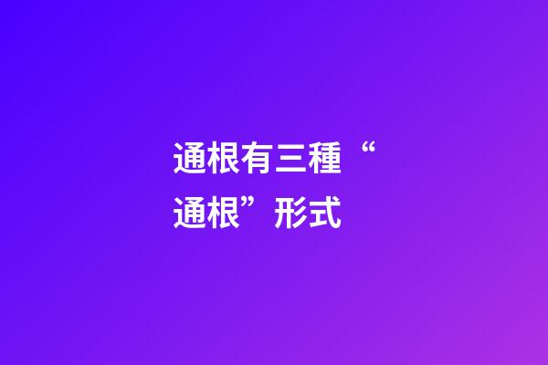 通根有三種“通根”形式