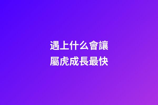 遇上什么會讓屬虎成長最快