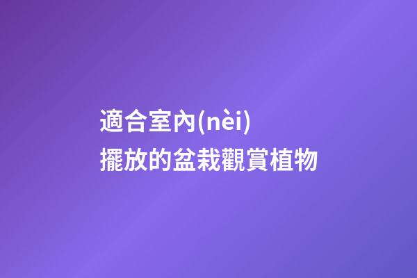 適合室內(nèi)擺放的盆栽觀賞植物
