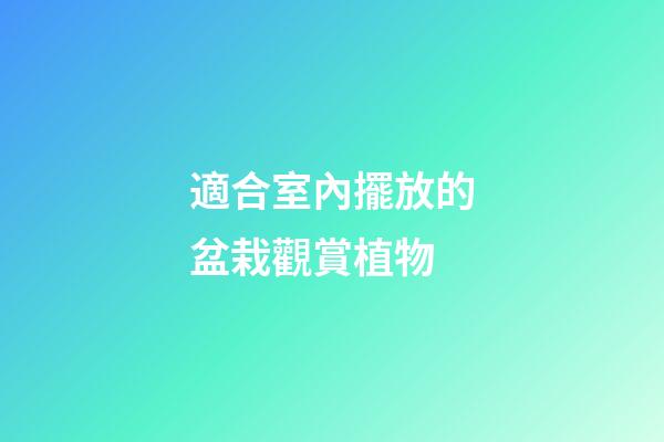 適合室內擺放的盆栽觀賞植物