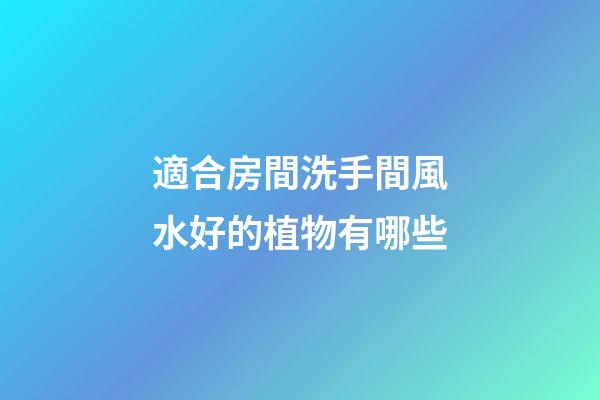 適合房間洗手間風水好的植物有哪些