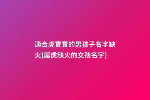 適合虎寶寶的男孩子名字缺火(屬虎缺火的女孩名字)
