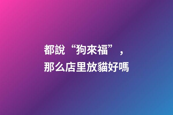 都說“狗來福”，那么店里放貓好嗎