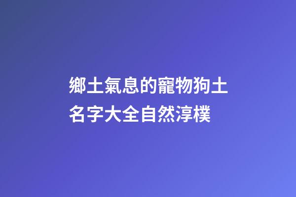 鄉土氣息的寵物狗土名字大全自然淳樸