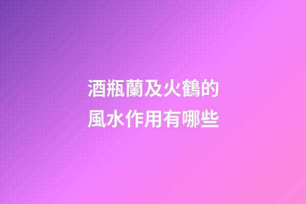 酒瓶蘭及火鶴的風水作用有哪些?