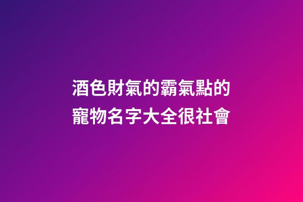 酒色財氣的霸氣點的寵物名字大全很社會