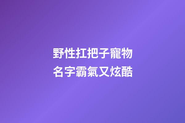 野性扛把子寵物名字霸氣又炫酷