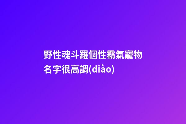 野性魂斗羅個性霸氣寵物名字很高調(diào)