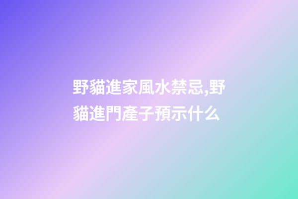 野貓進家風水禁忌,野貓進門產子預示什么