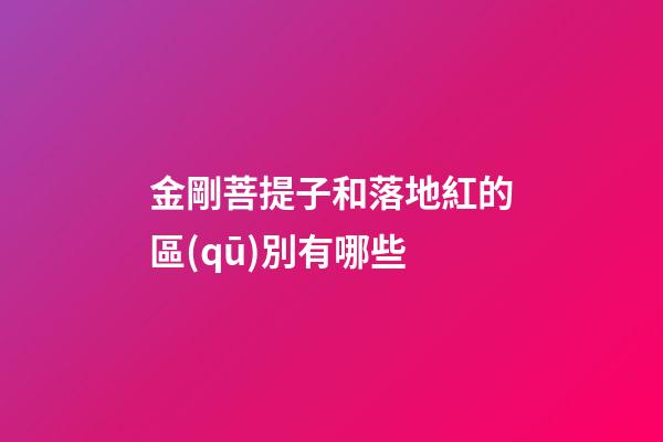 金剛菩提子和落地紅的區(qū)別有哪些