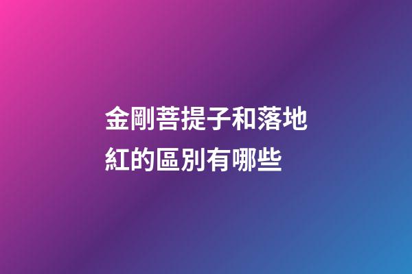 金剛菩提子和落地紅的區別有哪些