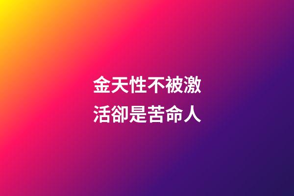 金天性不被激活卻是苦命人