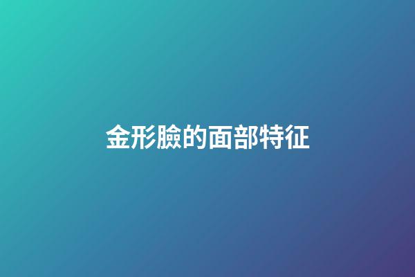 金形臉的面部特征