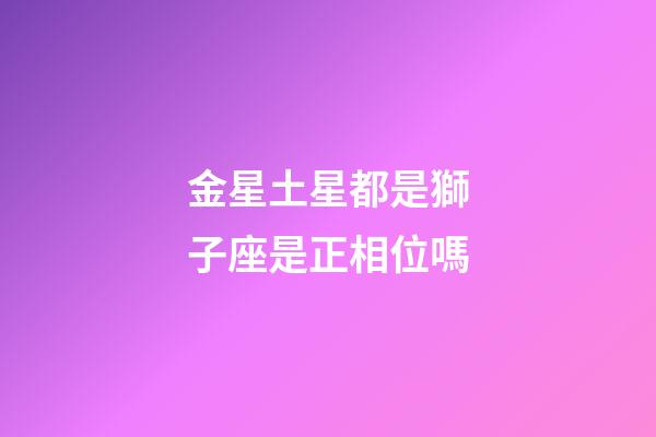 金星土星都是獅子座是正相位嗎-第1張-星座運勢-玄機派