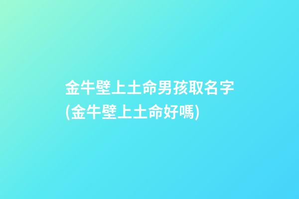 金牛壁上土命男孩取名字(金牛壁上土命好嗎)