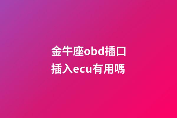 金牛座obd插口插入ecu有用嗎