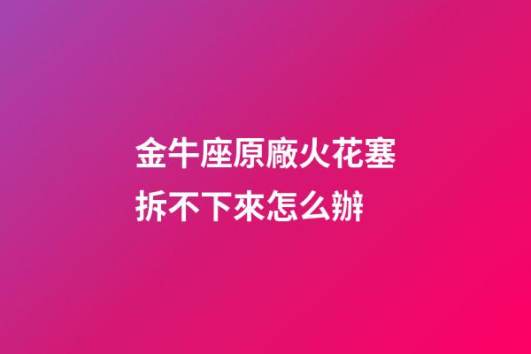 金牛座原廠火花塞拆不下來怎么辦-第1張-星座運勢-玄機派