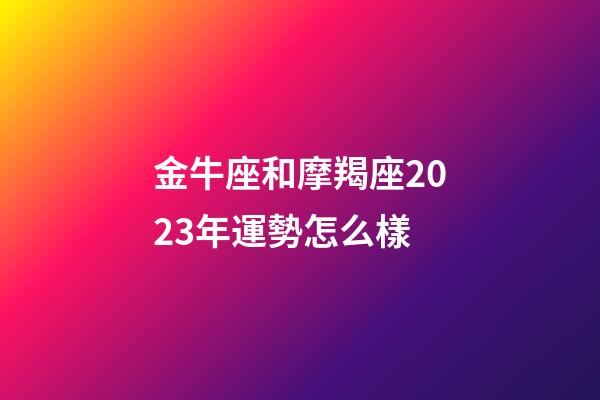 金牛座和摩羯座2023年運勢怎么樣-第1張-星座運勢-玄機派