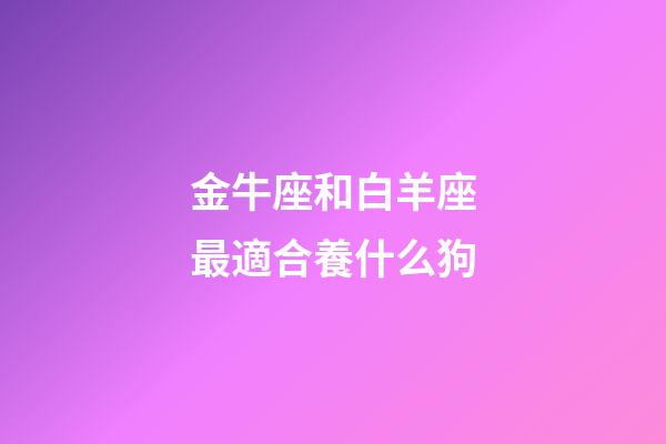 金牛座和白羊座最適合養什么狗-第1張-星座運勢-玄機派