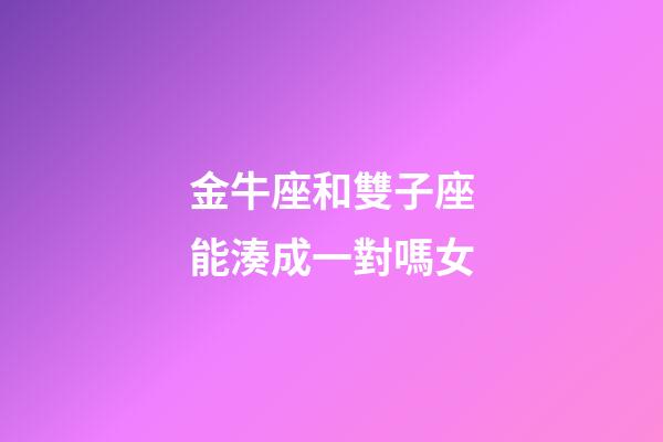 金牛座和雙子座能湊成一對嗎女-第1張-星座運勢-玄機派