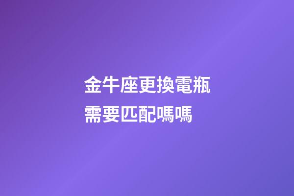 金牛座更換電瓶需要匹配嗎嗎