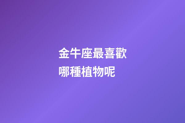 金牛座最喜歡哪種植物呢-第1張-星座運勢-玄機派