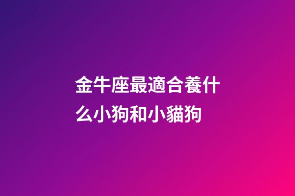金牛座最適合養什么小狗和小貓狗-第1張-星座運勢-玄機派