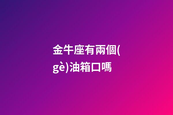 金牛座有兩個(gè)油箱口嗎