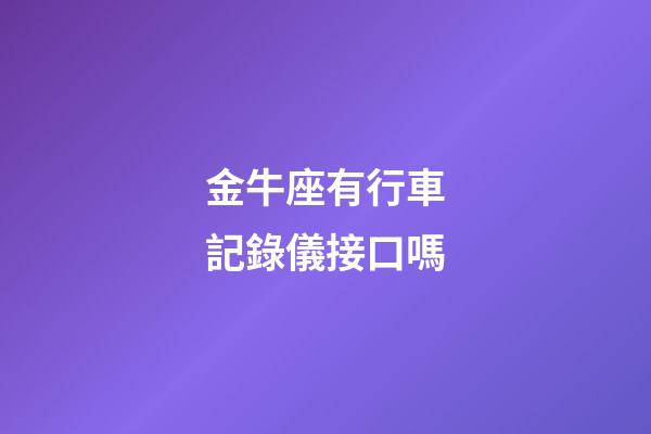 金牛座有行車記錄儀接口嗎