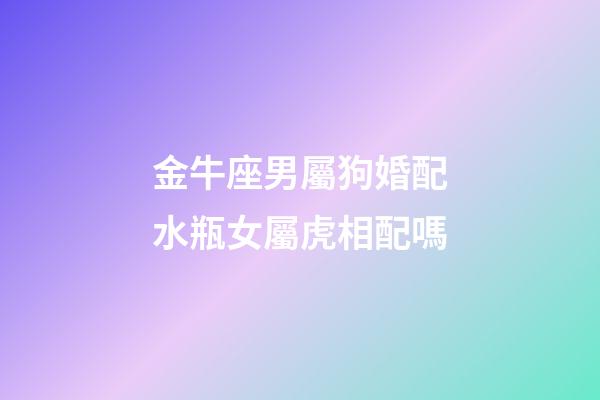 金牛座男屬狗婚配水瓶女屬虎相配嗎-第1張-星座運勢-玄機派