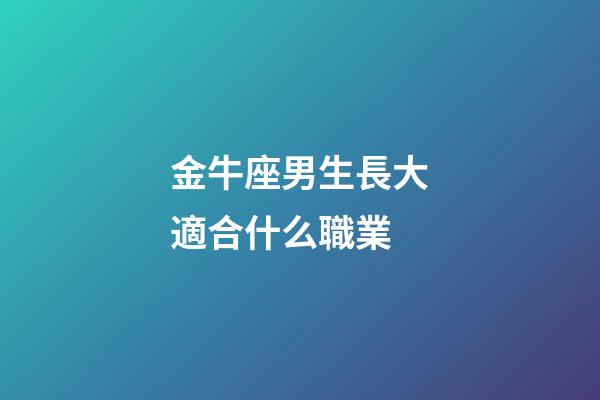 金牛座男生長大適合什么職業-第1張-星座運勢-玄機派