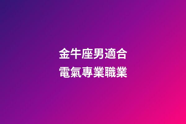 金牛座男適合電氣專業職業-第1張-星座運勢-玄機派