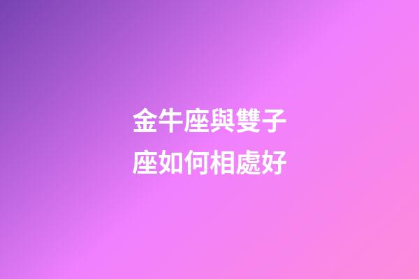 金牛座與雙子座如何相處好-第1張-星座運(yùn)勢(shì)-玄機(jī)派