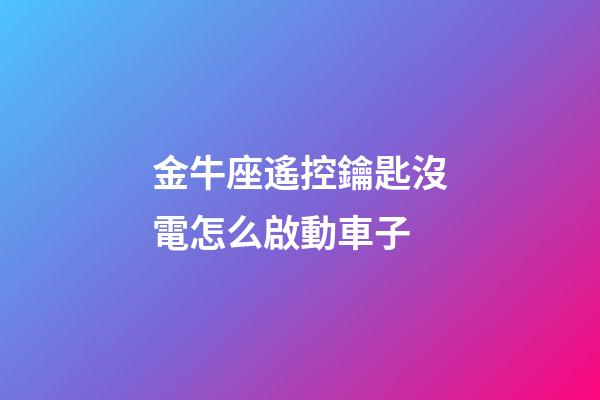 金牛座遙控鑰匙沒電怎么啟動車子
