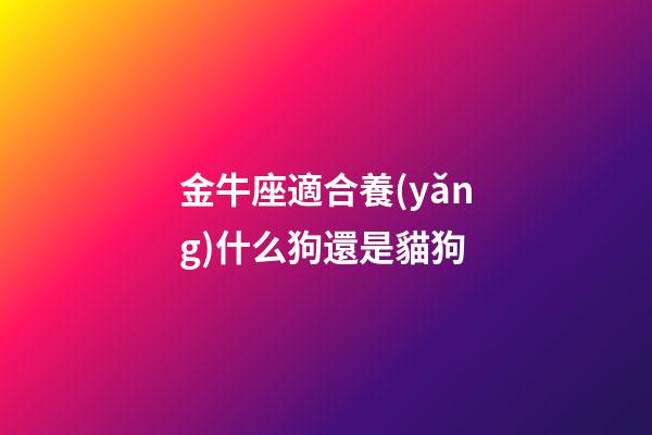 金牛座適合養(yǎng)什么狗還是貓狗