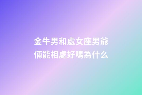 金牛男和處女座男爺倆能相處好嗎為什么-第1張-星座運勢-玄機派