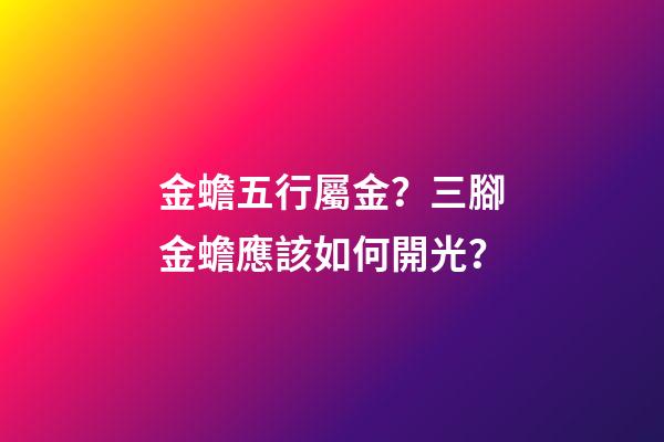 金蟾五行屬金？三腳金蟾應該如何開光？